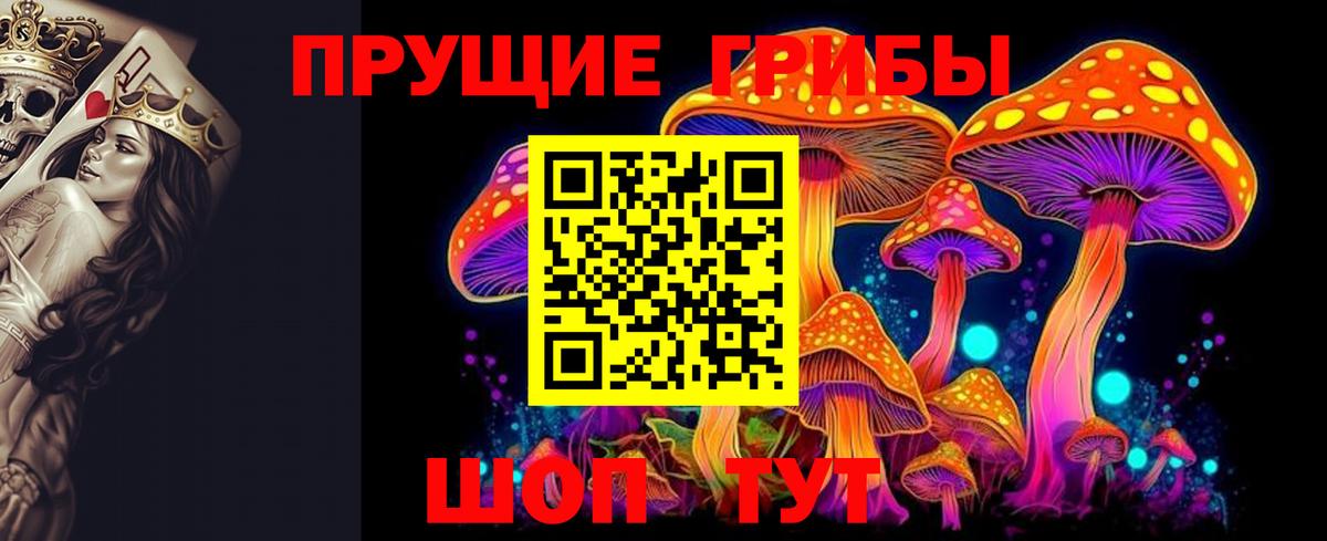 Химки  Псилоцибиновые грибы GOLDEN TEACHER  Вход с VPN 